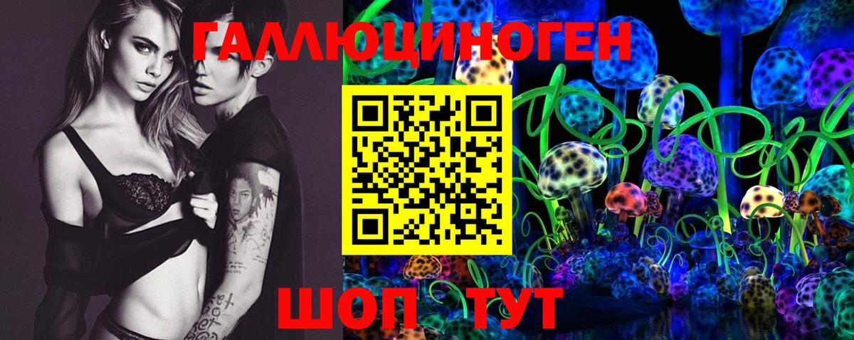 Ипатово  Псилоцибиновые грибы MAGIC MUSHROOMS  Вход с VPN 